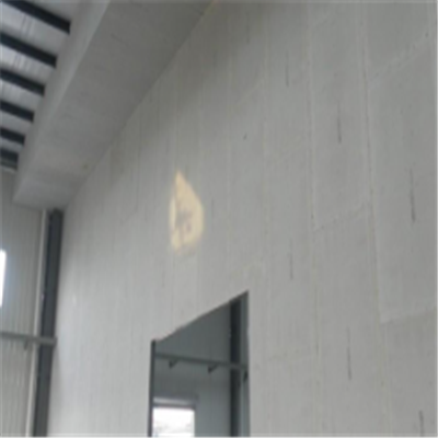 定边新型建筑材料掺多种工业废渣的ALC|ACC|FPS模块板材轻质隔墙板